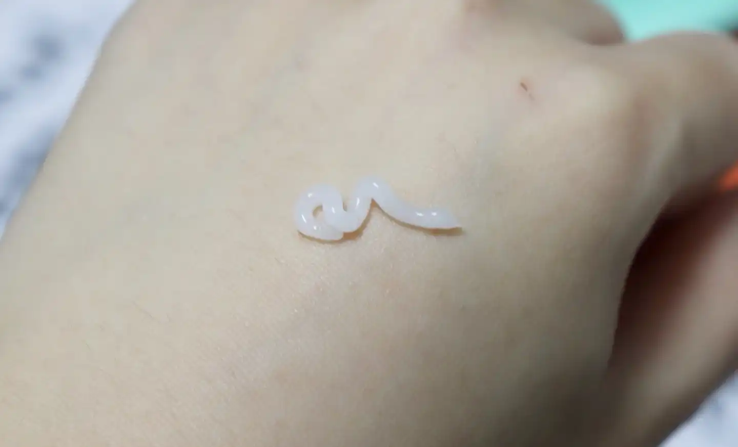 바이바이 시카 밤