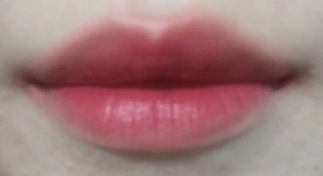 라스트 벨벳 립 틴트4 [16 꽃보다 단아]