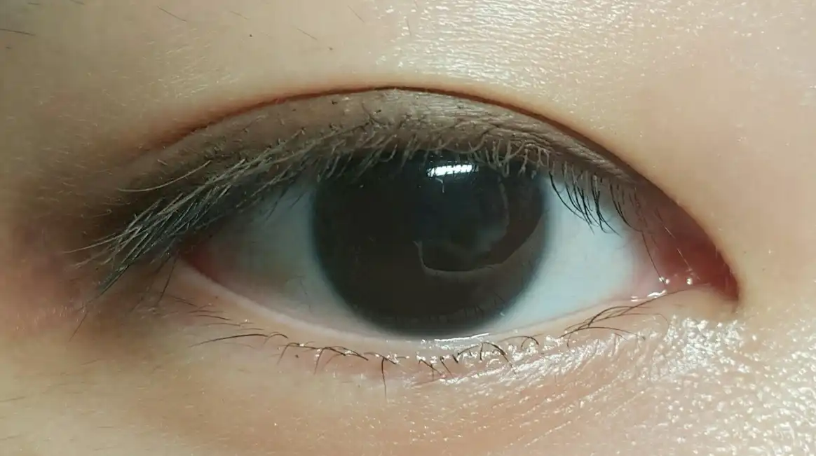 백젤 아이라이너 [07 라떼브라운]