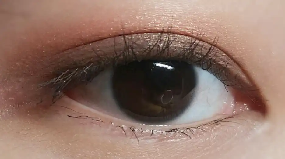 서울 폭스 테일 마스카라 