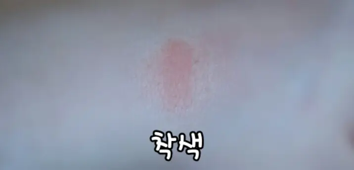선택된 언니의파우치 리뷰 이미지 - [월드글램 코팅 틴트 06호 서울]