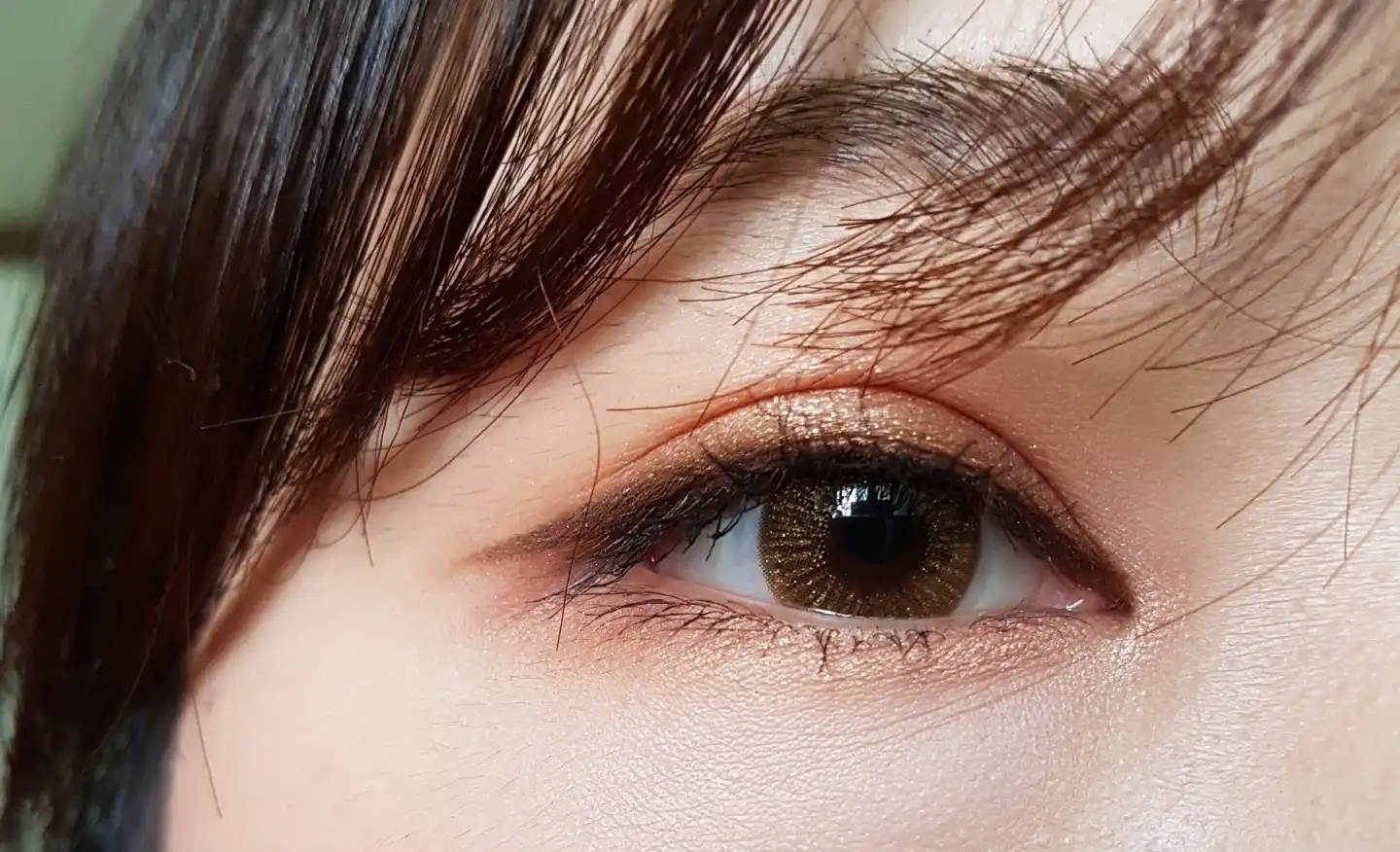 글로리 [브라운]