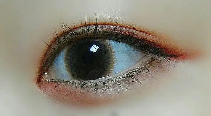 루이샤인 모찌2칼라 [브라운]