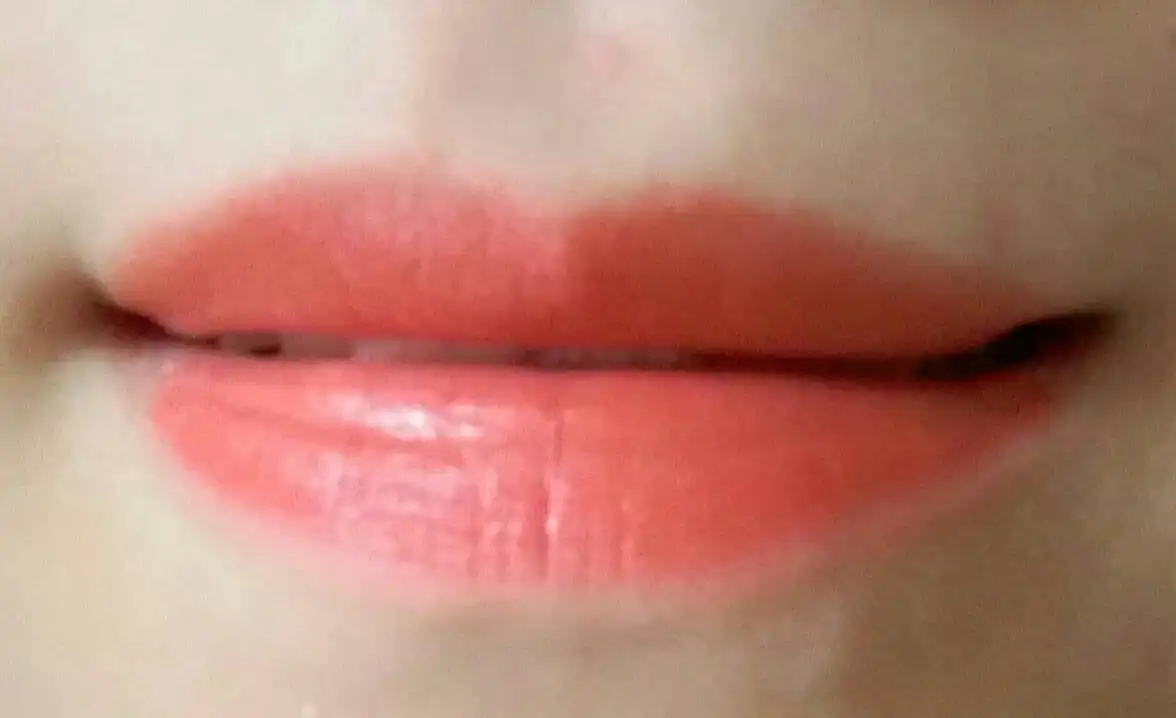 루즈 힐 [013 누디브라우니]