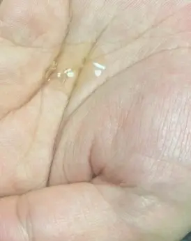 선택된 언니의파우치 리뷰 이미지 - [더퓨어 티트리 에센스]