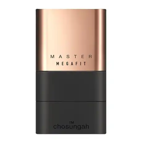 메가 핏 스틱 파운데이션 마스터