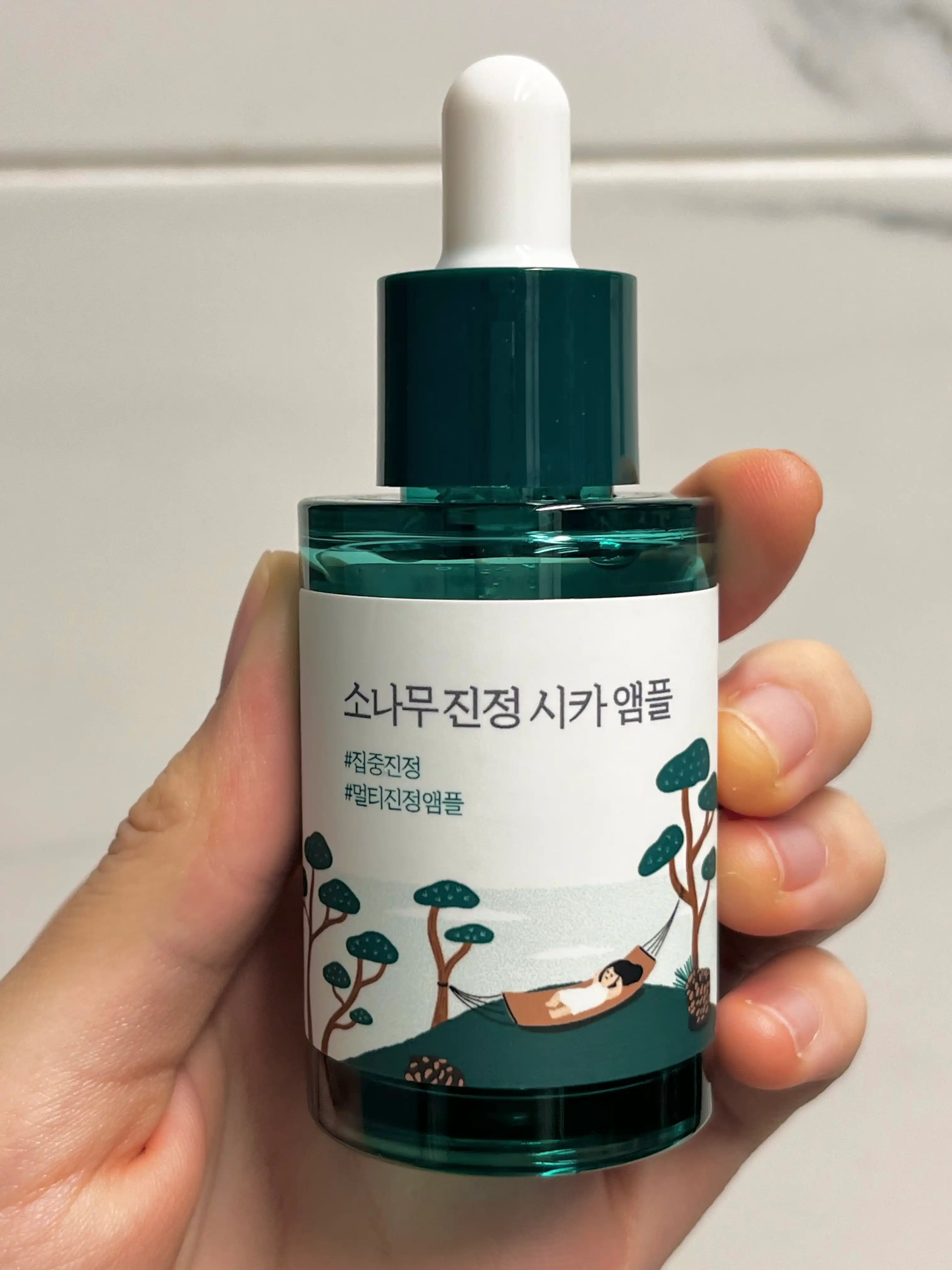 소나무 진정 시카 앰플