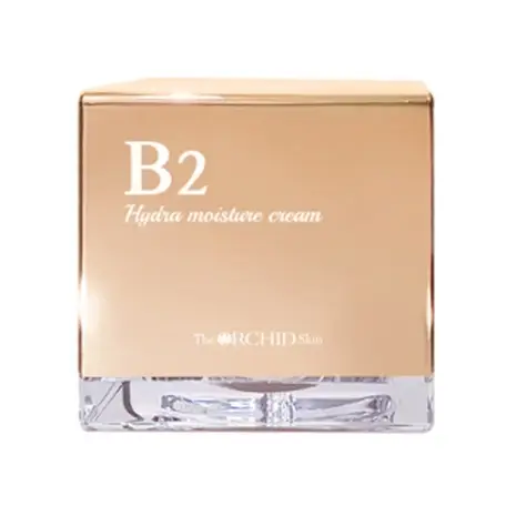 B2 하이드라 모이스처 크림