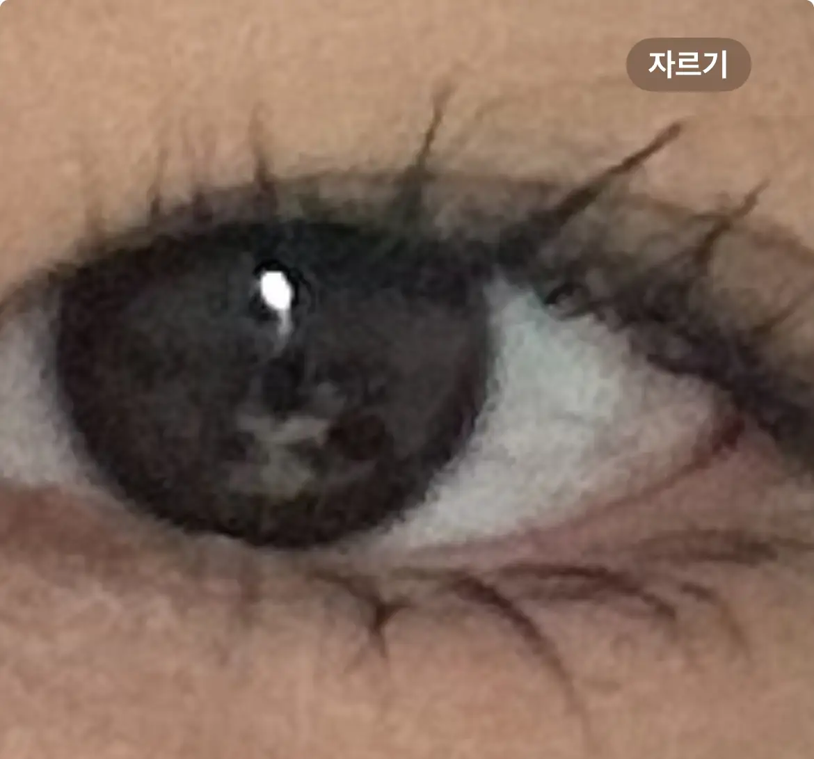 선택된 언니의파우치 리뷰 이미지 - [컬 픽스 마스카라]