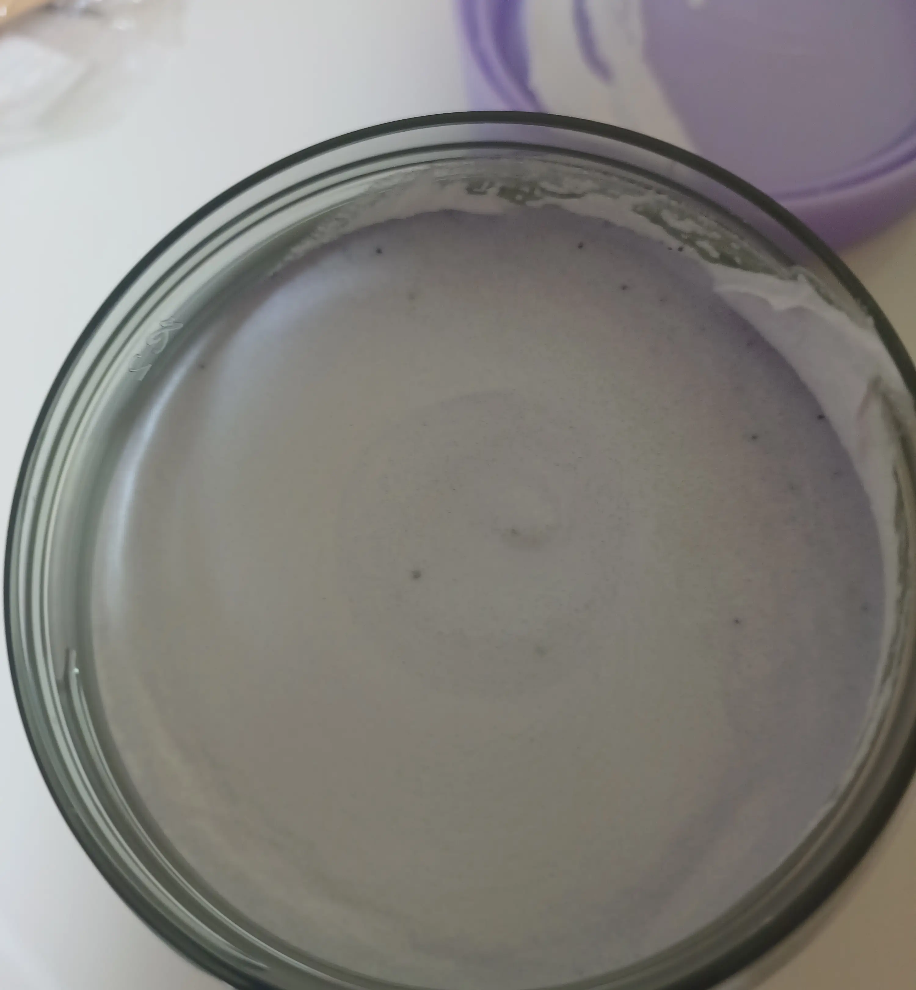 선택된 언니의파우치 리뷰 이미지 - [크러쉬드 라벤더 앤드 코코넛밀크 스크럽]