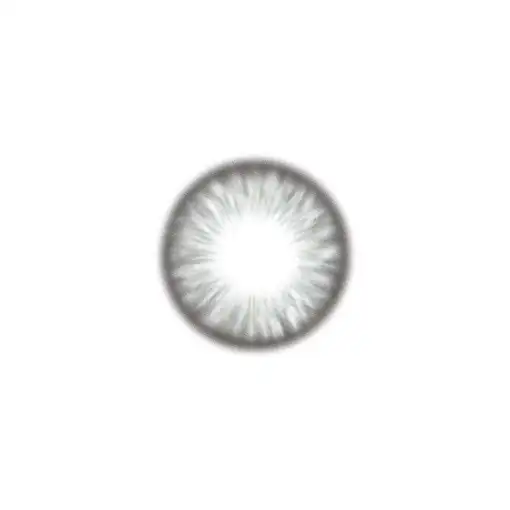 레니카 스모키그레이