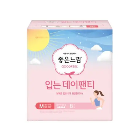 입는 데이팬티 중형