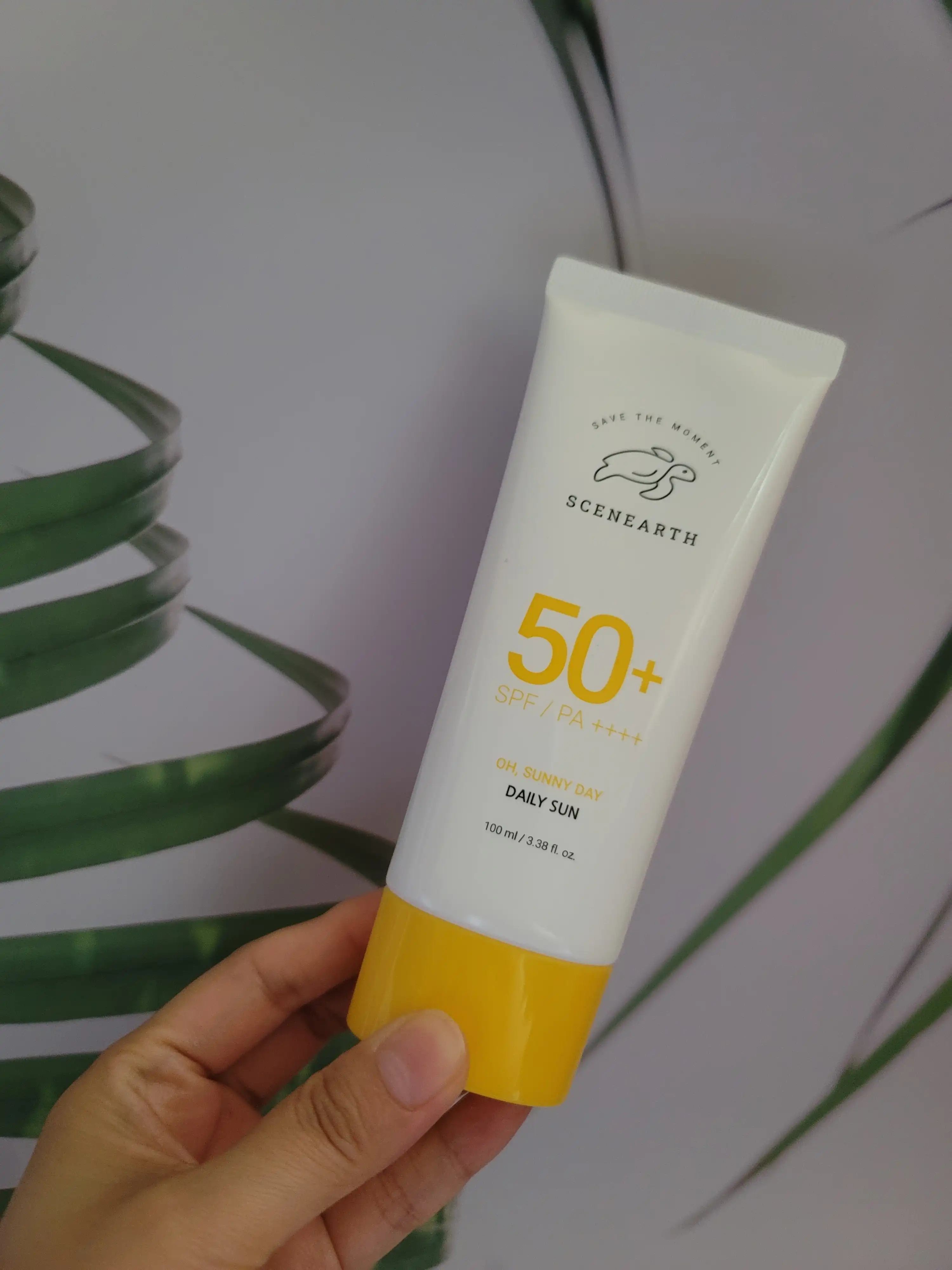 씨널스 오 써니데이 데일리 선