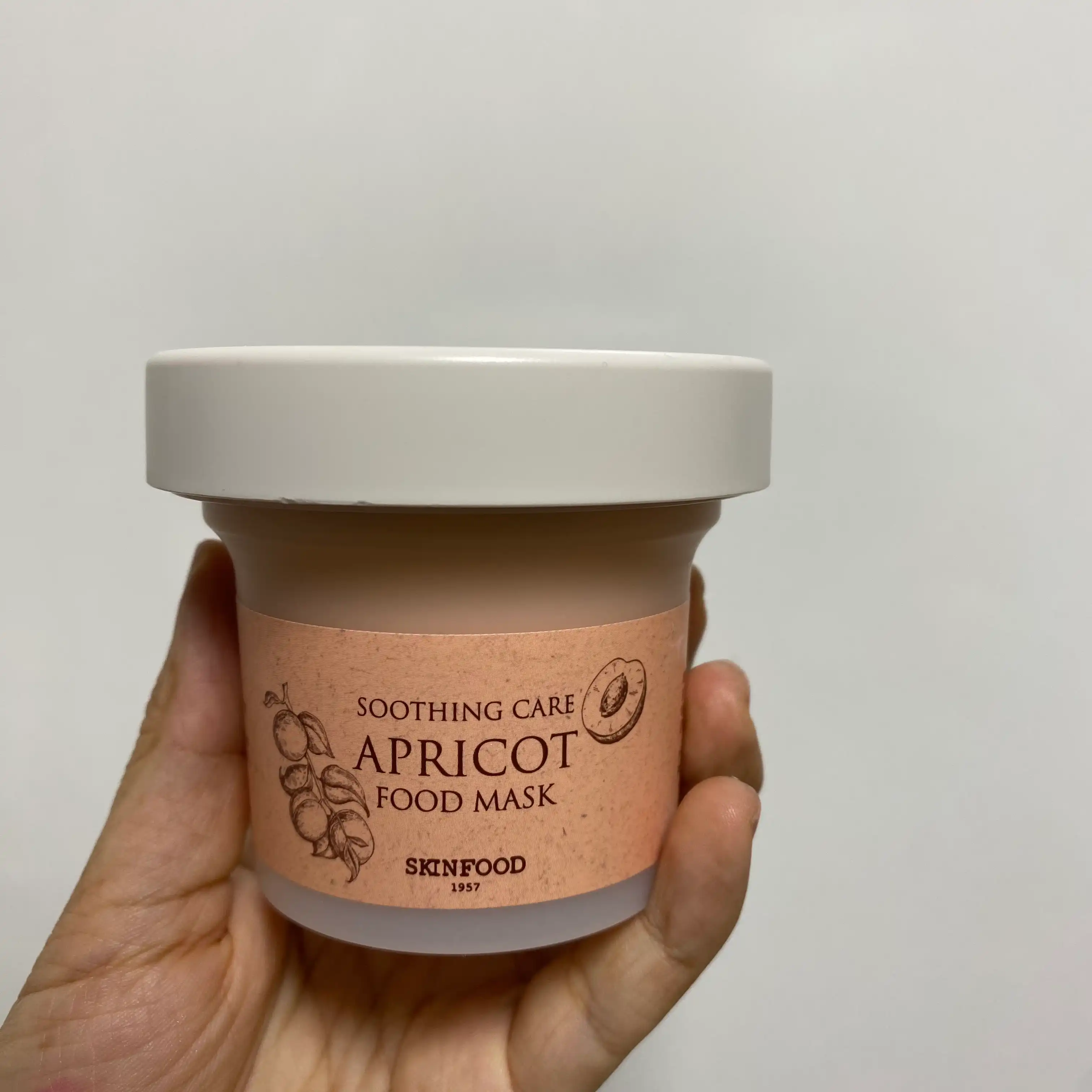 살구 푸드 마스크