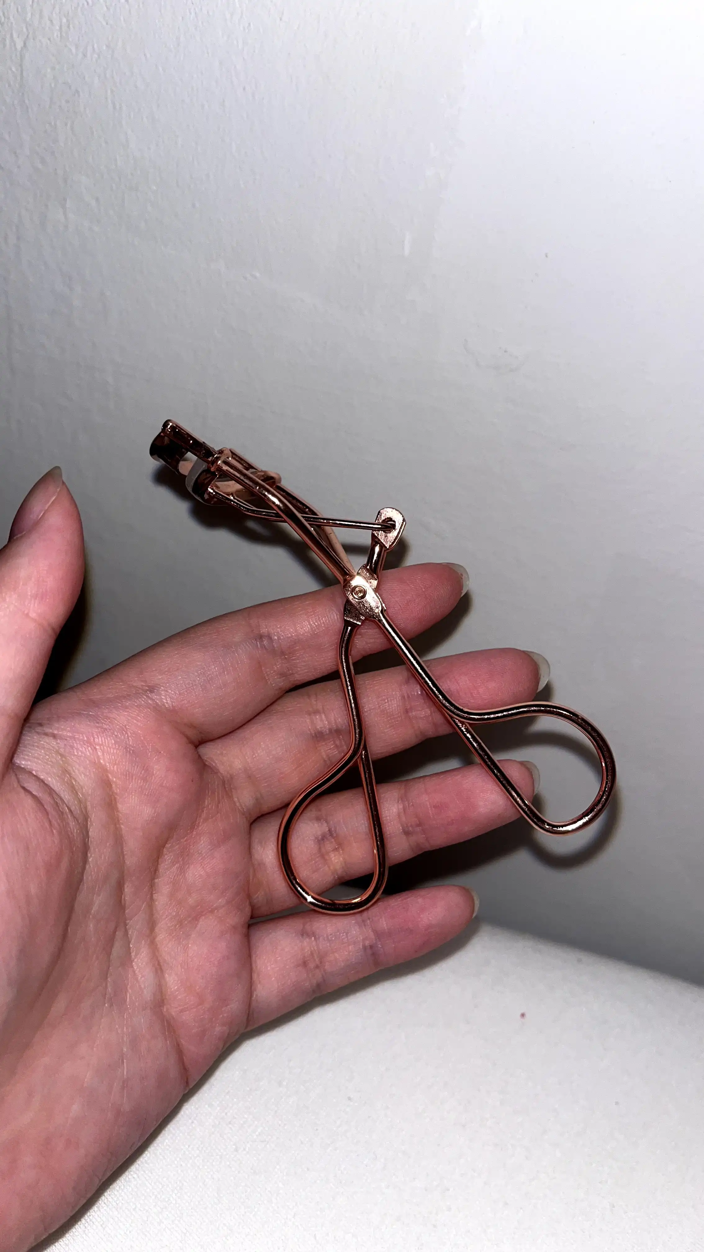 드림 래쉬 컬러