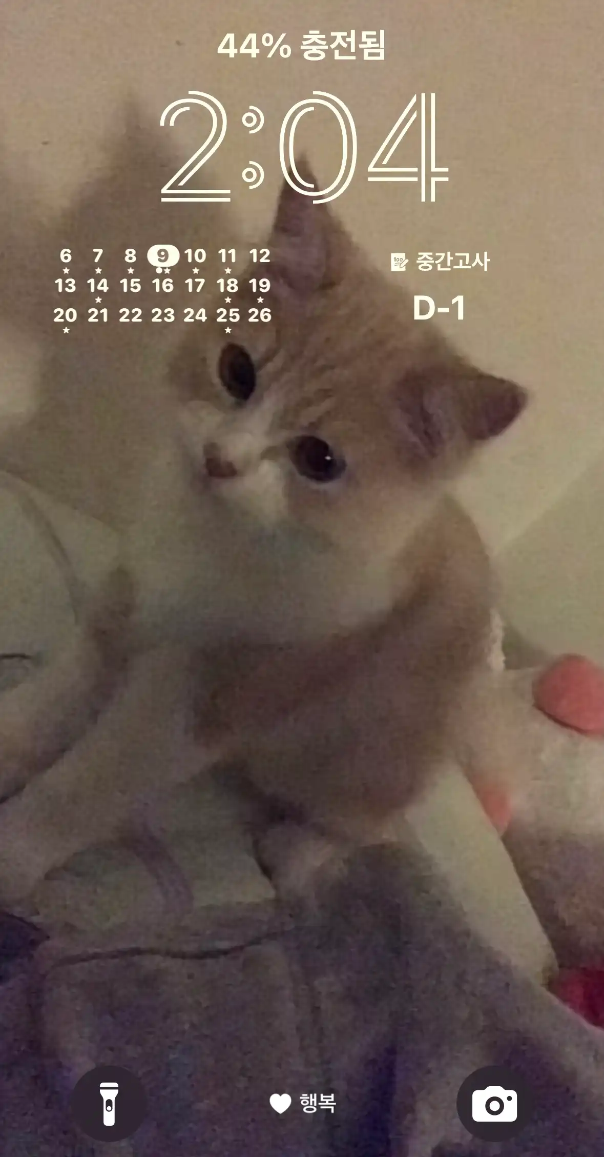 멜로✭