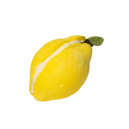 레몬 크럼블 버블룬 버블 바