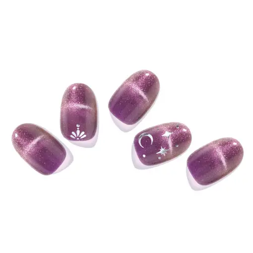 샵젤 퍼플 나이트 마그넷