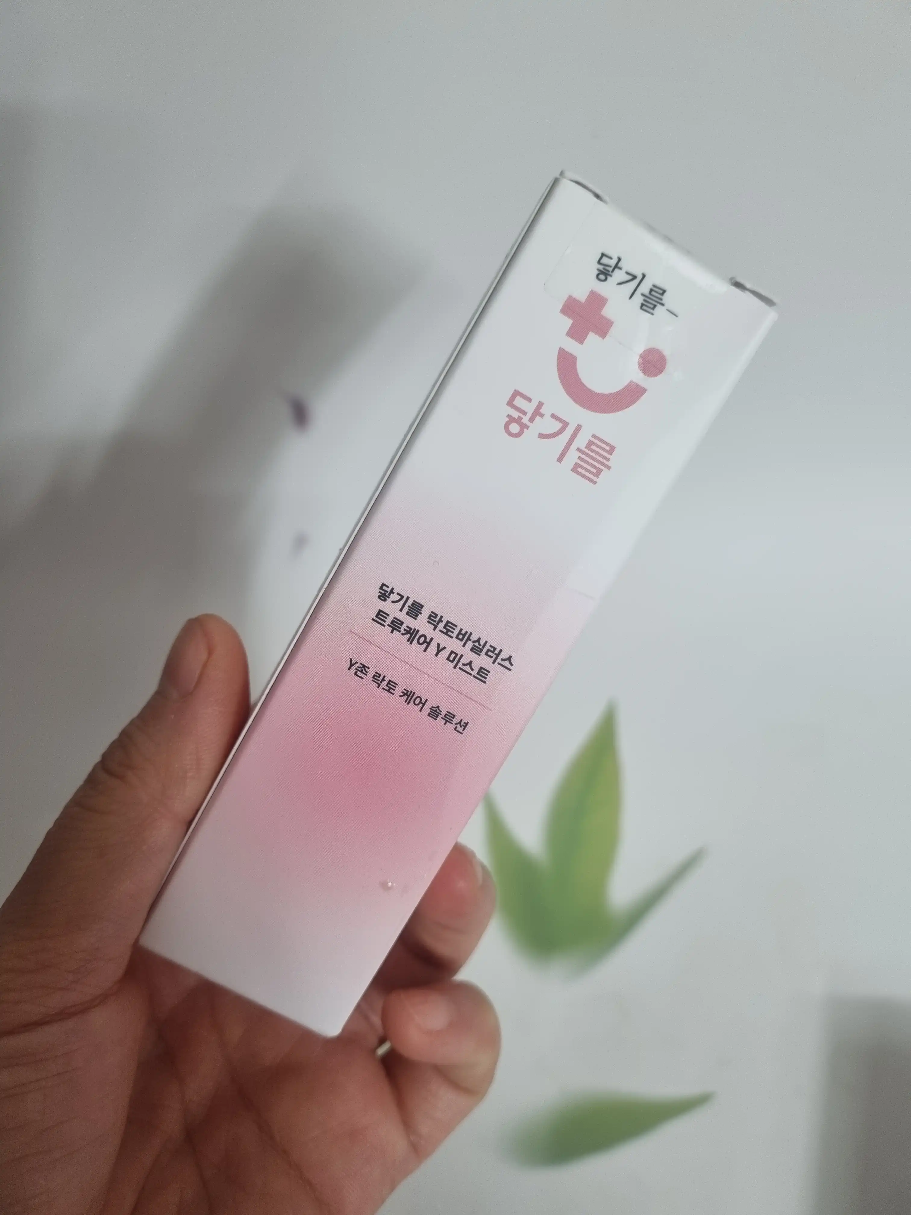 락토 Y미스트 여성청결제 