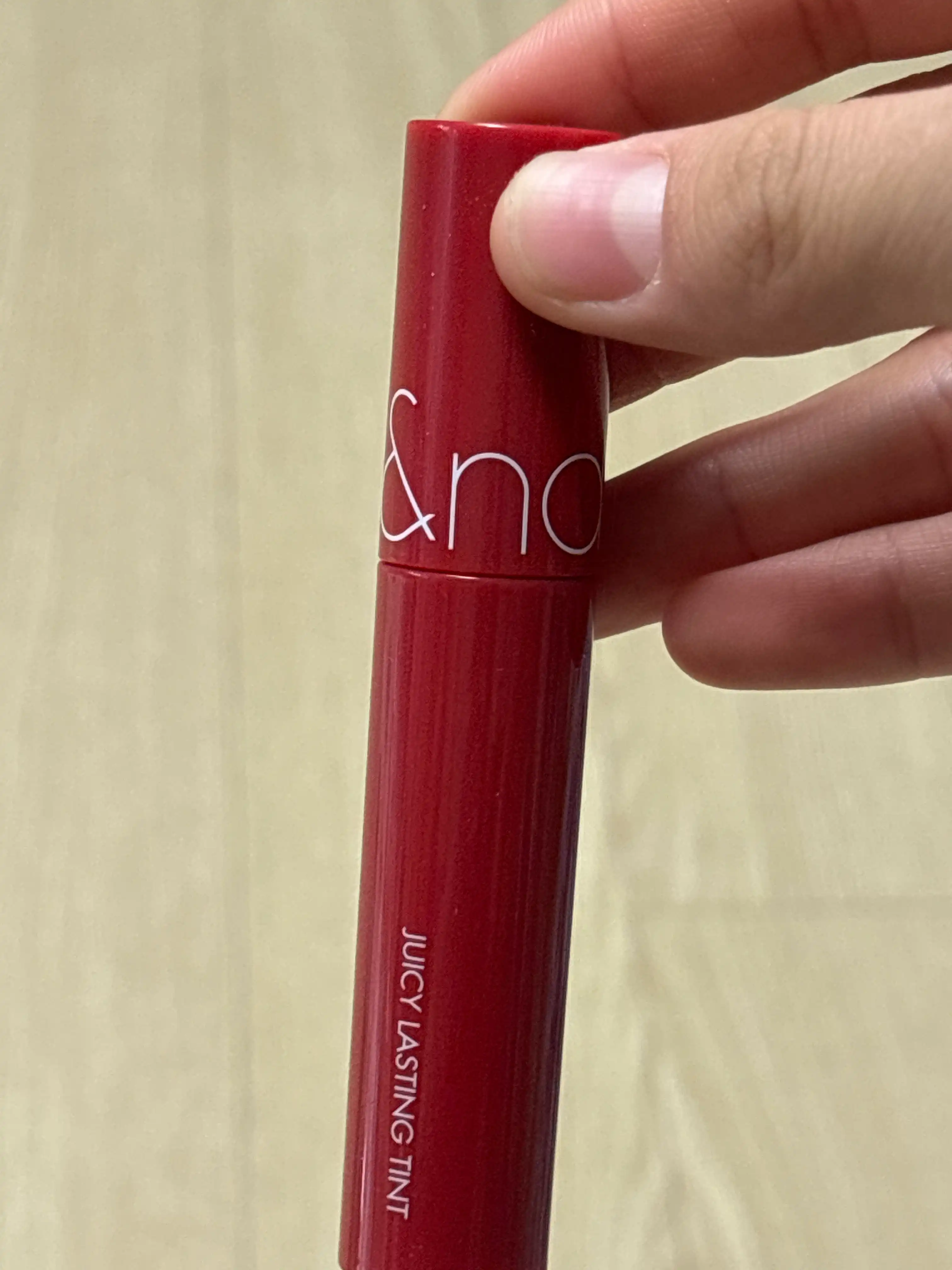 더 쥬시 래스팅 틴트