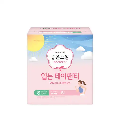 입는 데이팬티 소형