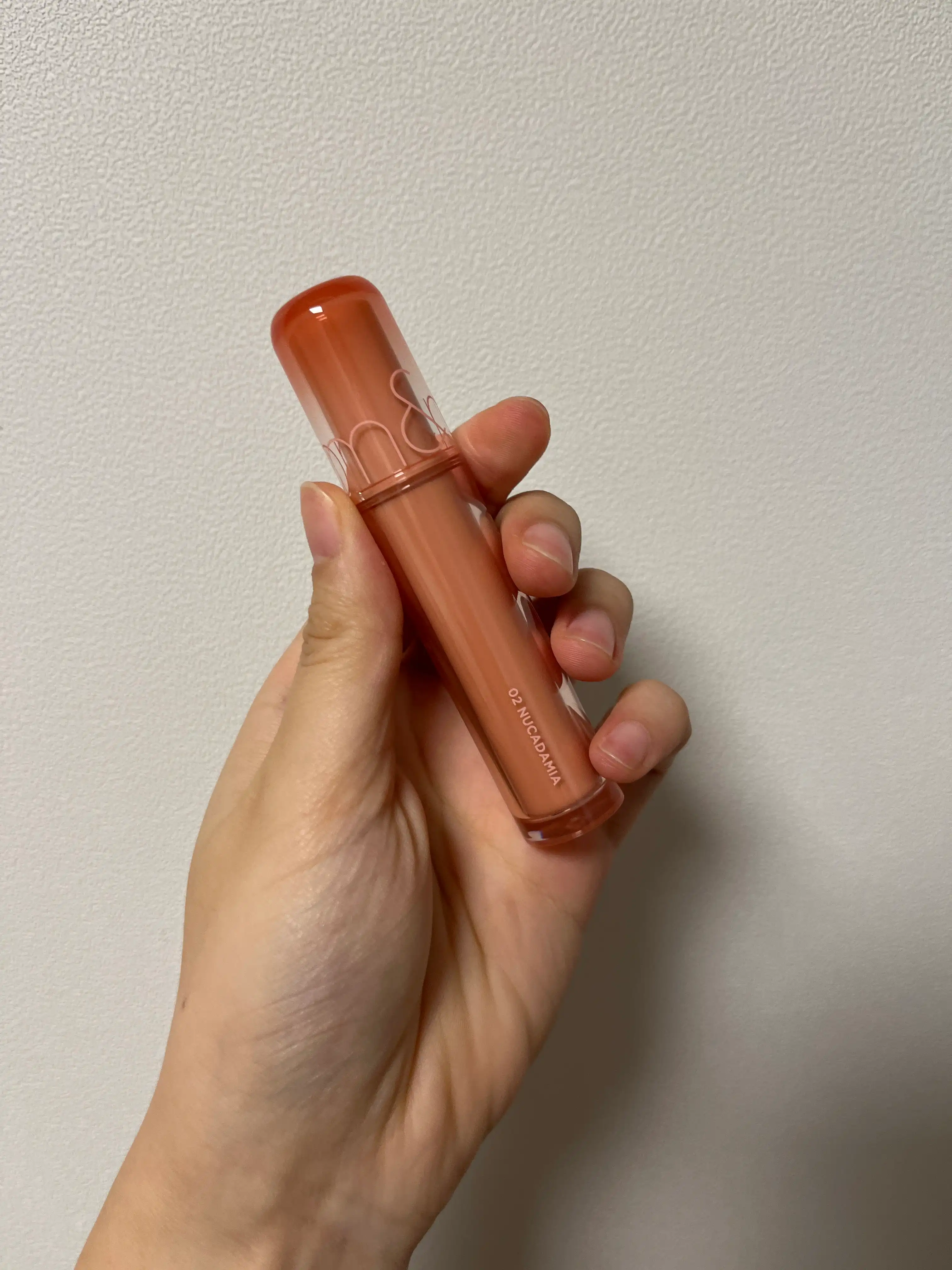 더 쥬시 래스팅 틴트