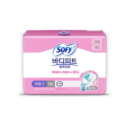 바디피트 볼록맞춤 대형