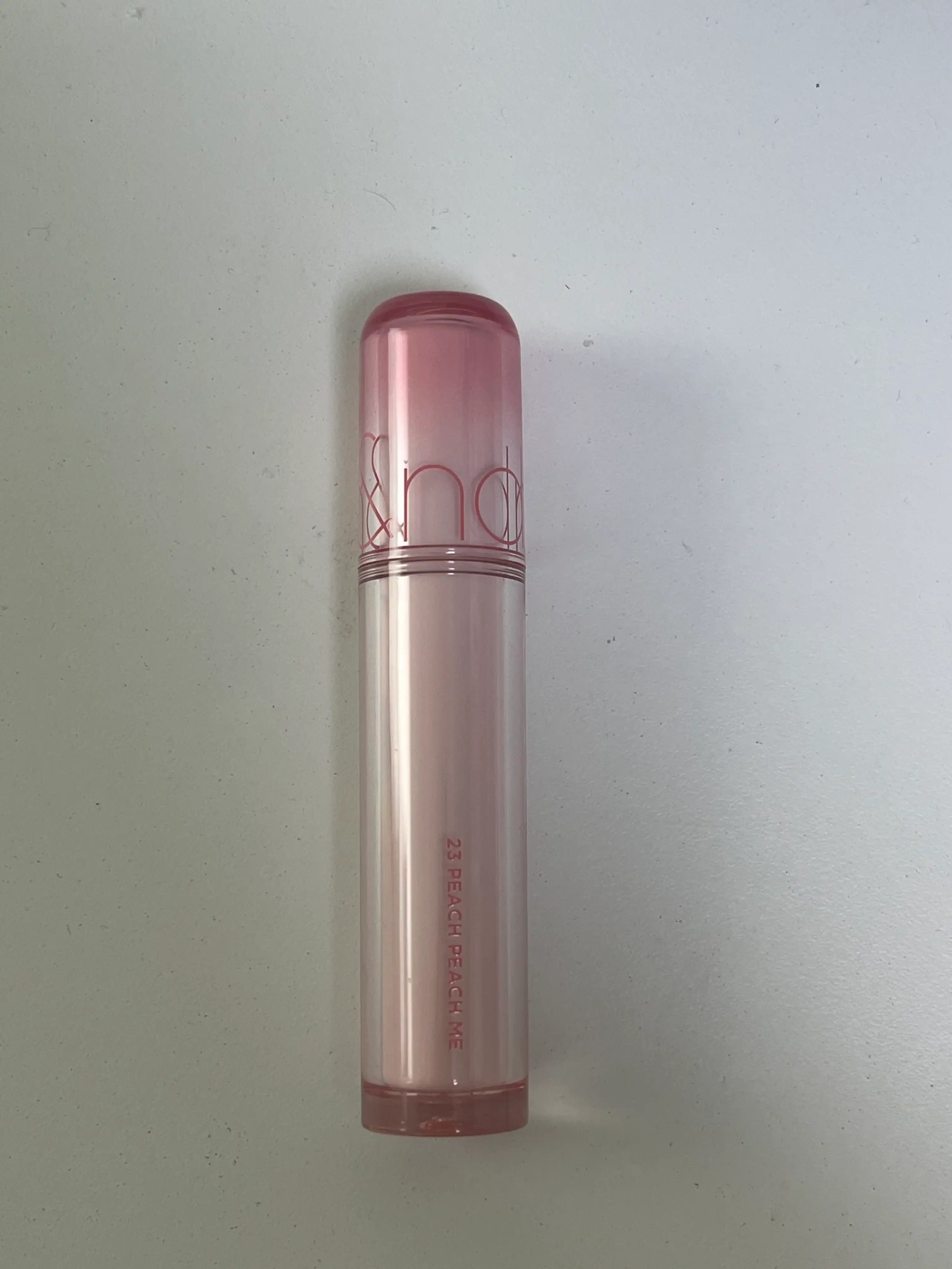 더 쥬시 래스팅 틴트