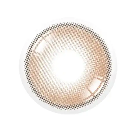 듀이 크리스틴 원데이 브라운