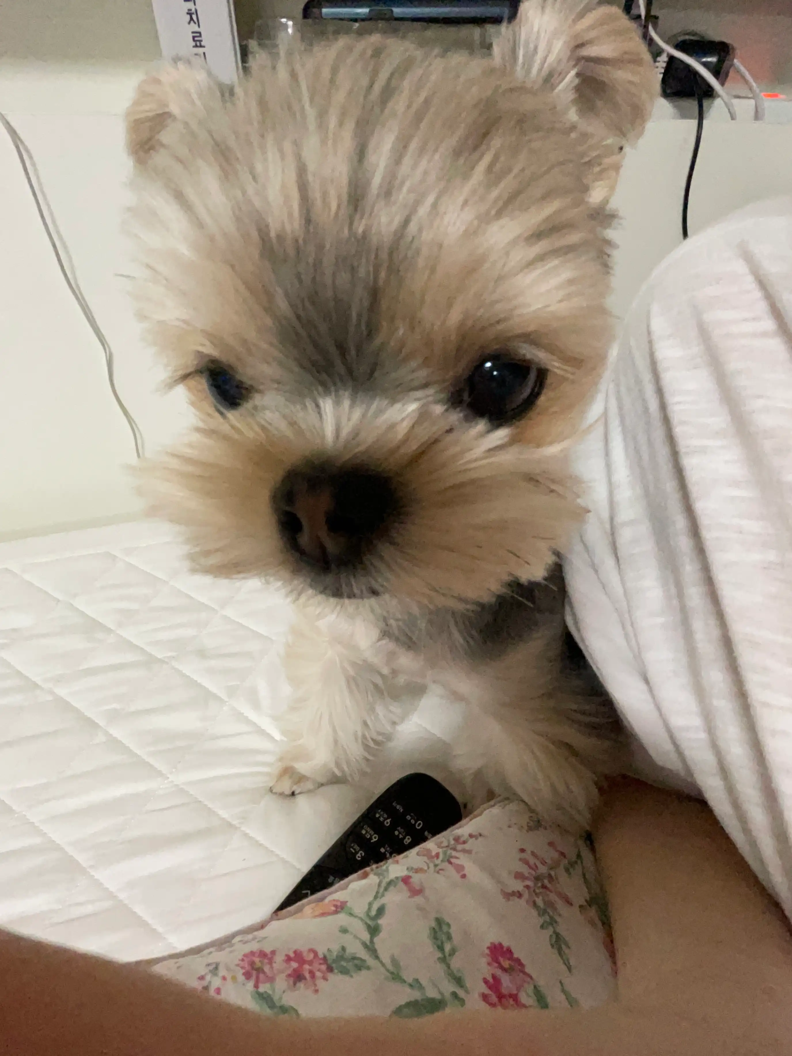 박갬희님의 프로필 이미지