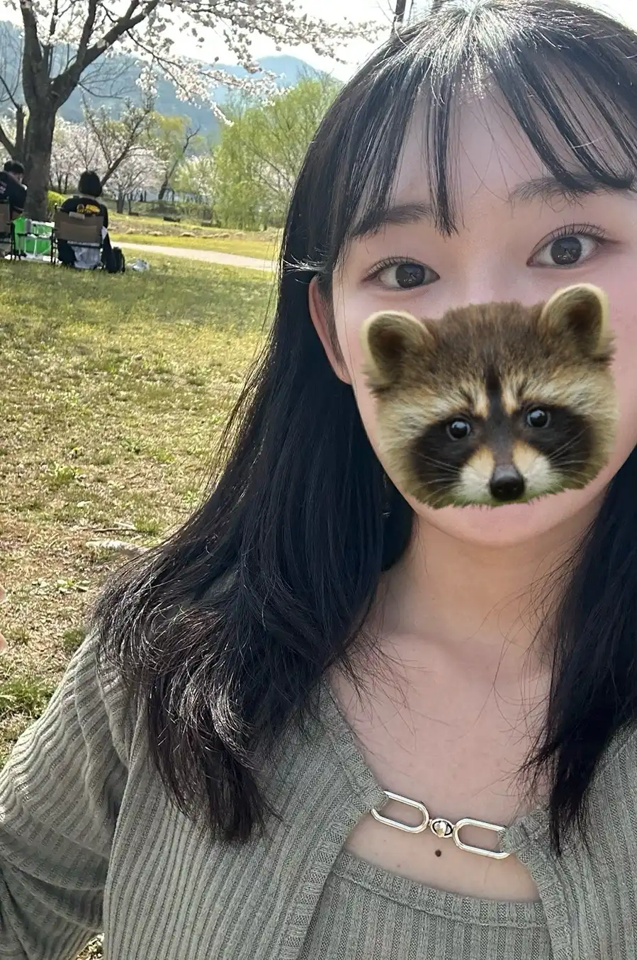 고네짱