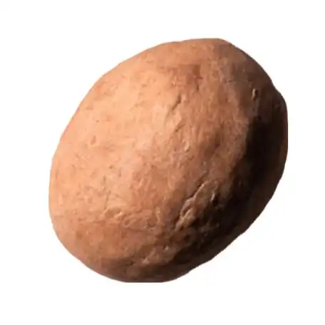 블랙에센셜 바디바