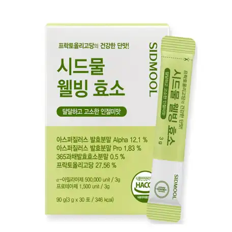 웰빙 효소