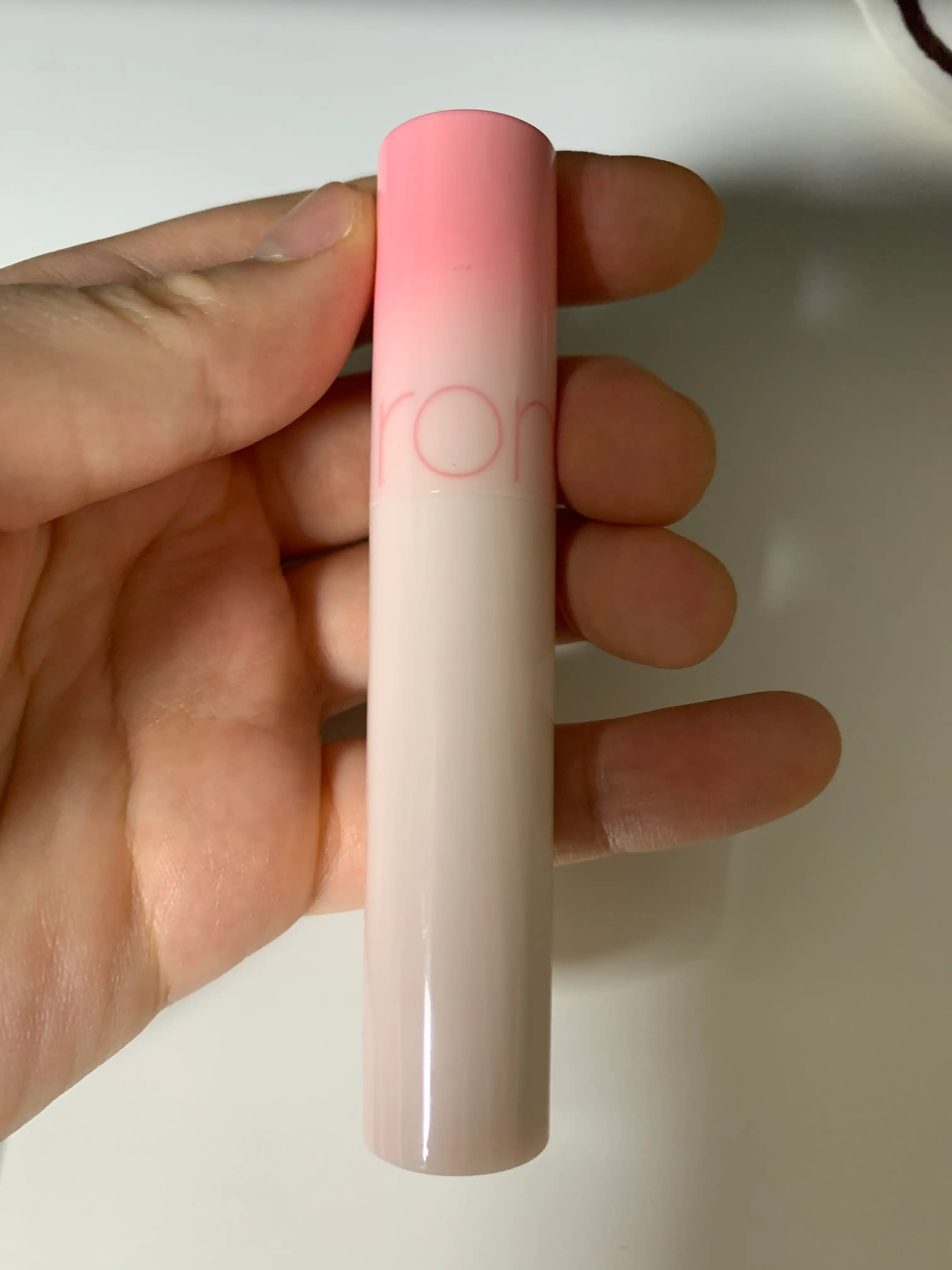 더 쥬시 래스팅 틴트