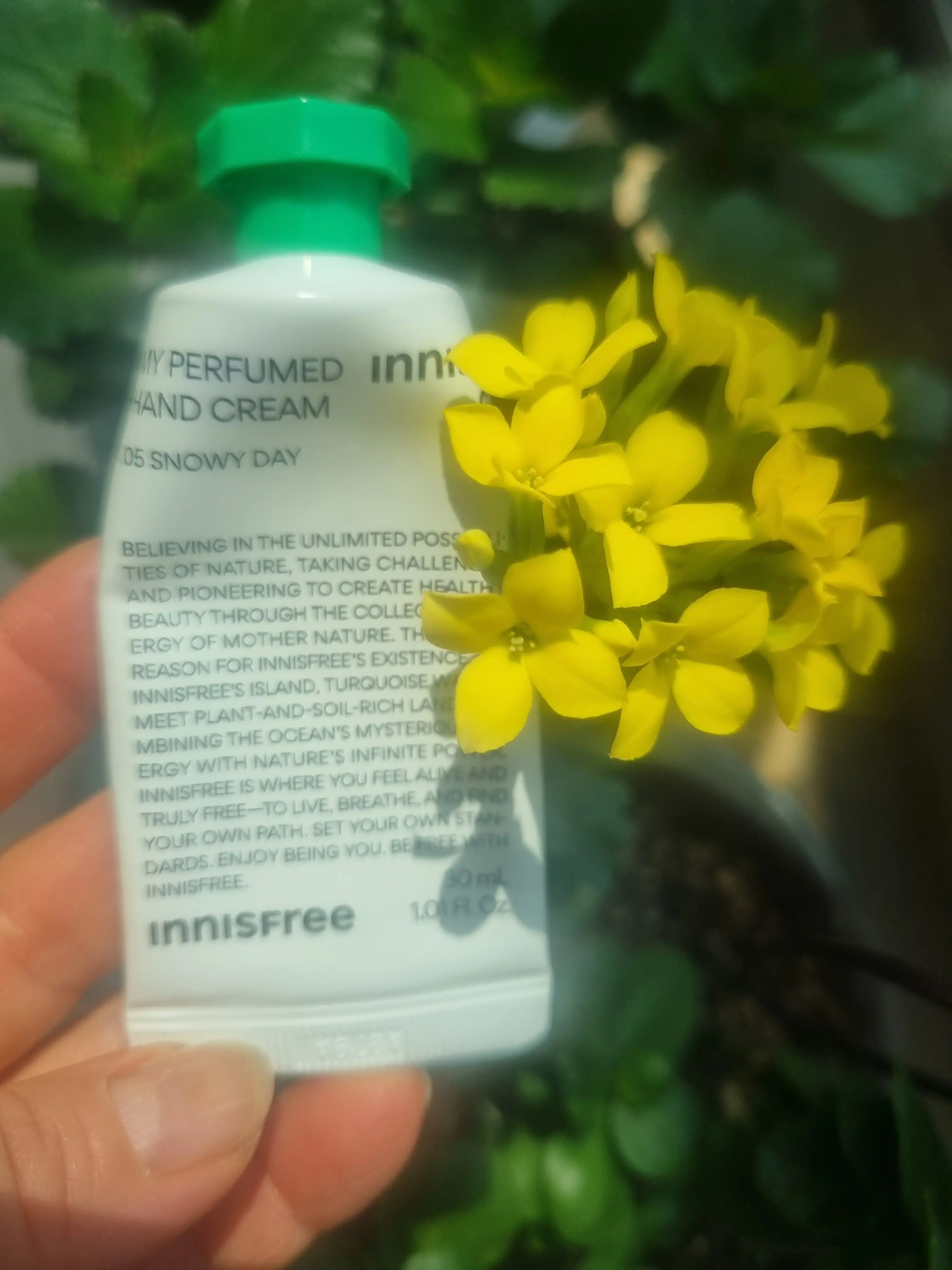 마이 퍼퓸드 핸드크림