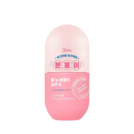 올 뉴 분홍이 시즌 4