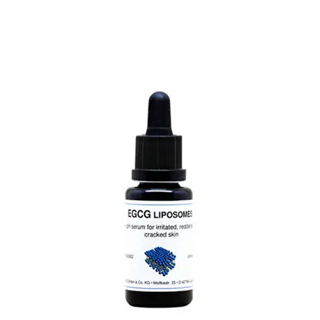 EGCG 리포좀