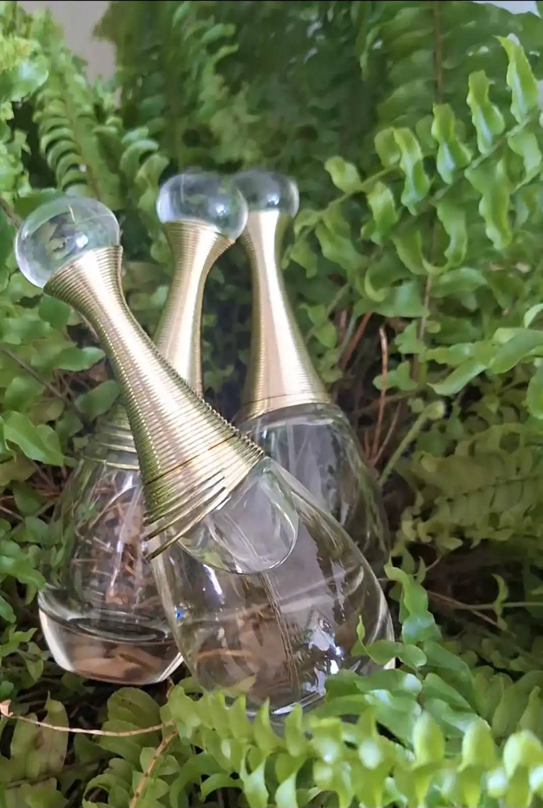 쟈도르 오 드 퍼퓸