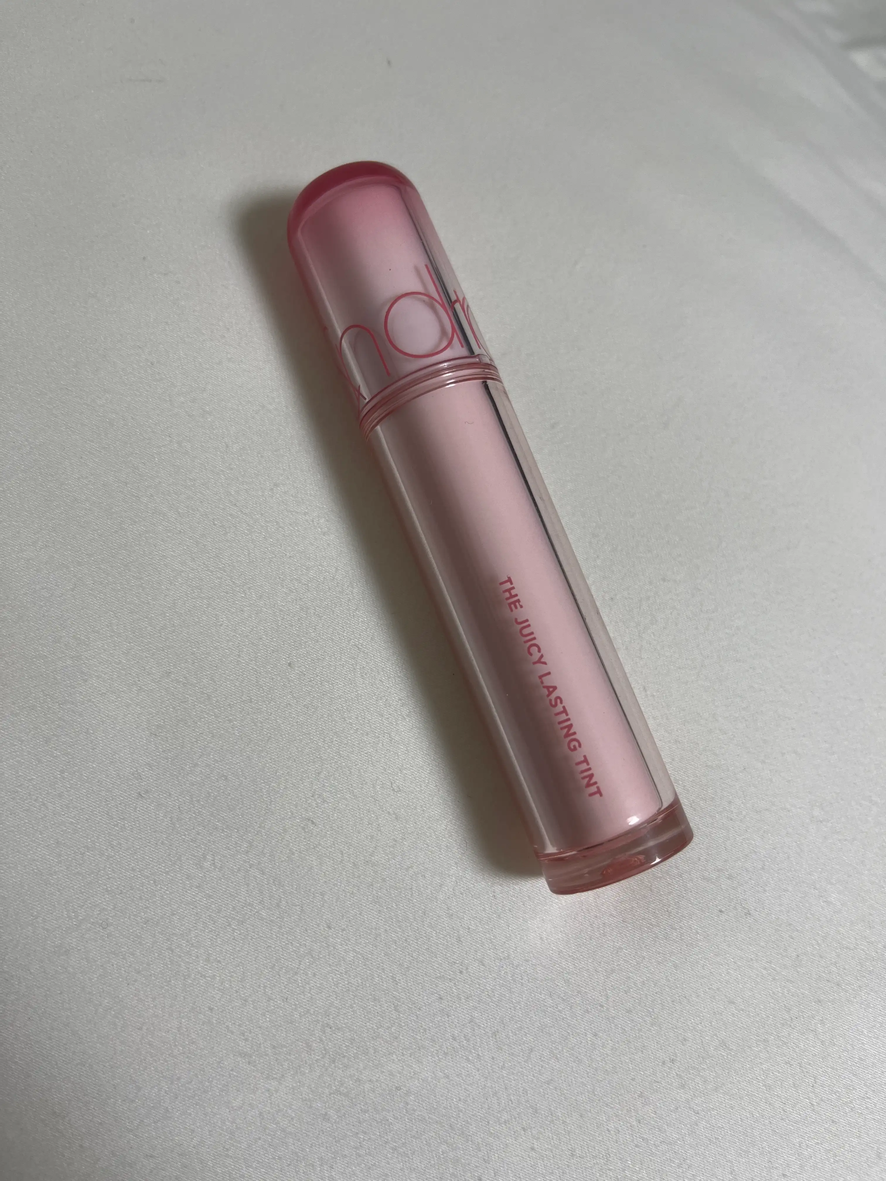 더 쥬시 래스팅 틴트