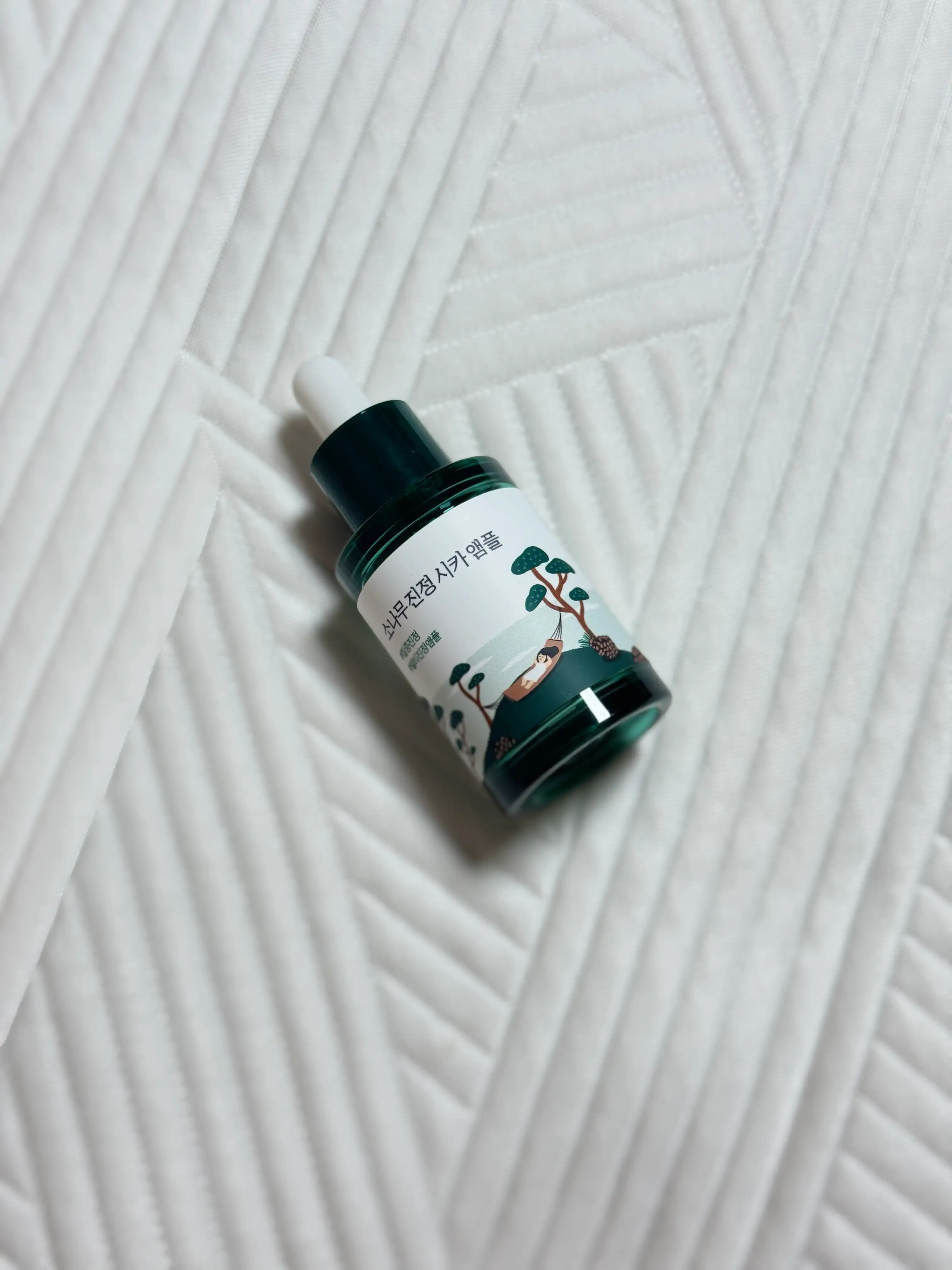 소나무 진정 시카 앰플