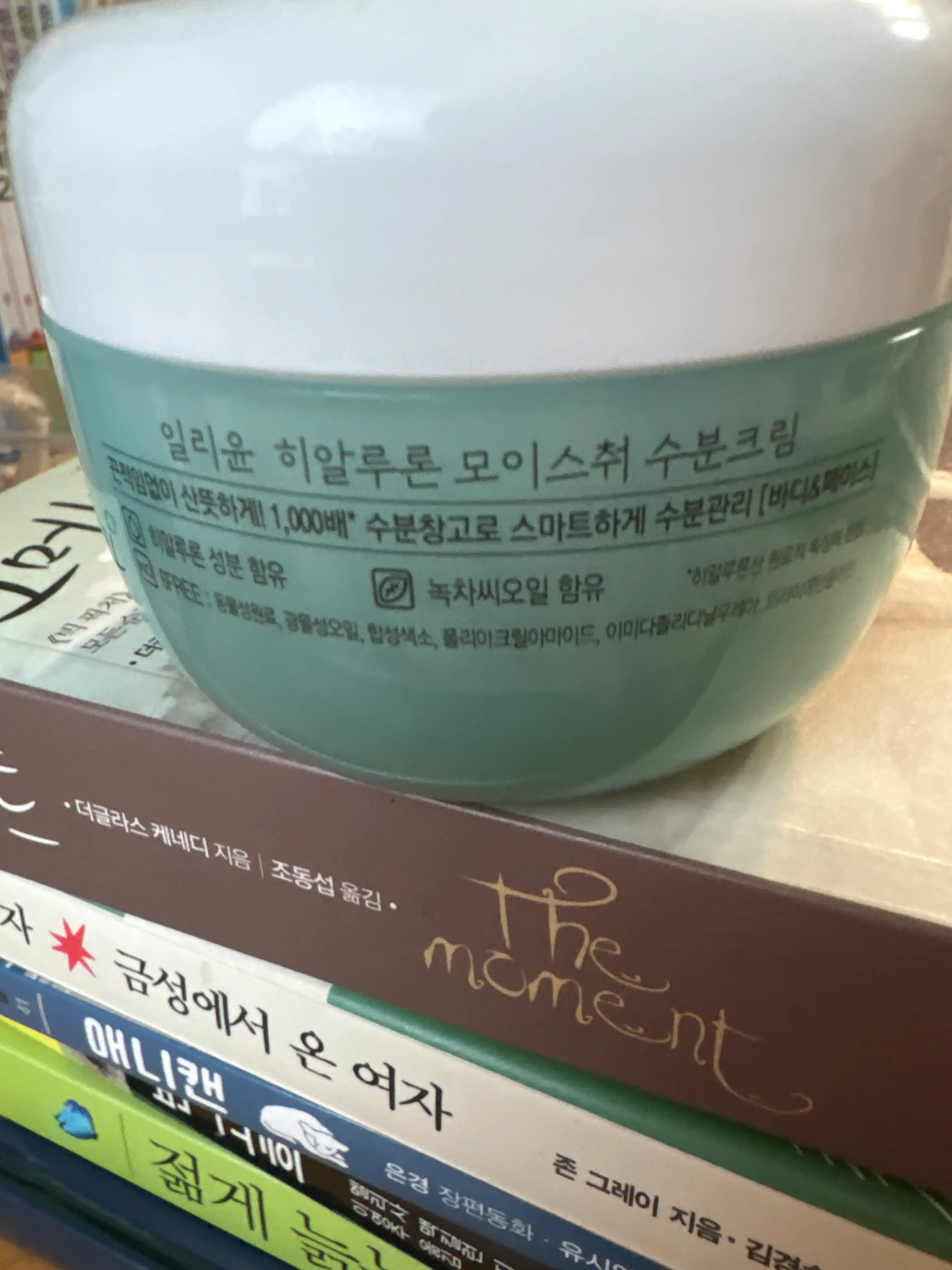 언니의파우치 리뷰 이미지 2 - [ 히알루론 모이스춰 수분크림]