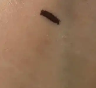 언니의파우치 리뷰 이미지 2 - [리퀴드 디파인 아이라이너]