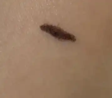 언니의파우치 리뷰 이미지 2 - [샤프 쏘 심플 워터프루프 펜슬라이너]