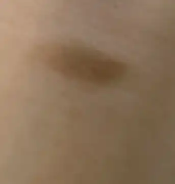 언니의파우치 리뷰 이미지 2 - [단테 샤프너블 브로우 펜슬]