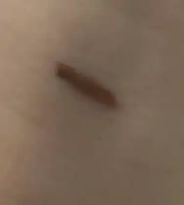 언니의파우치 리뷰 이미지 2 - [샤프 쏘 심플 워터프루프 펜슬라이너]