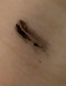 언니의파우치 리뷰 이미지 2 - [디어씽 울트라 롱 컬링 마스카라]