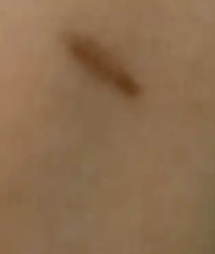 언니의파우치 리뷰 이미지 2 - [아이브로우 펜슬]
