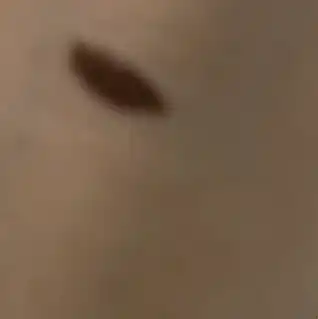 언니의파우치 리뷰 이미지 2 - [슈퍼프루프 피팅 젤 아이라이너]