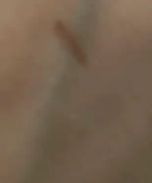 언니의파우치 리뷰 이미지 2 - [더 퍼스트 이지드로잉 젤 아이라이너]