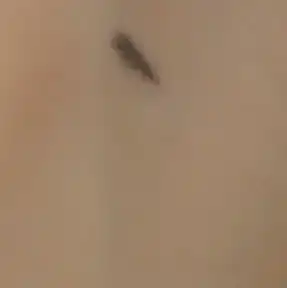 언니의파우치 리뷰 이미지 2 - [퍼펙팅 스무스 슬림 젤 펜슬 [딥블랙]]